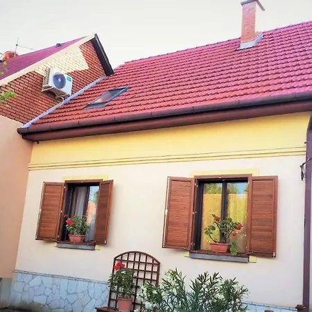 Narcisz Vendeghaz 2 * Mezőkövesd