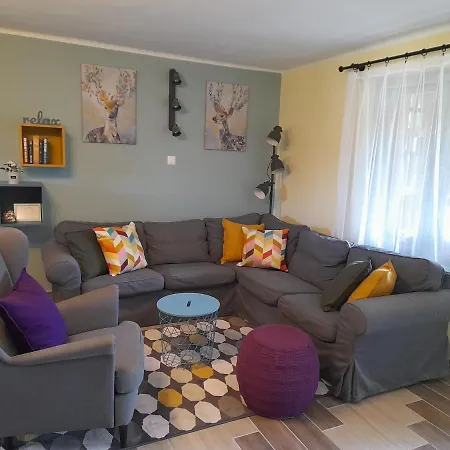 Nárcisz 2 * Mezőkövesd