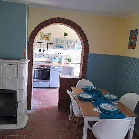 Nárcisz 2 * Mezőkövesd