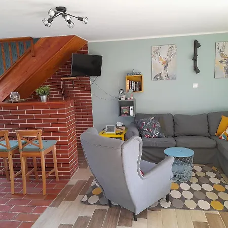 Nárcisz 2 * Mezőkövesd