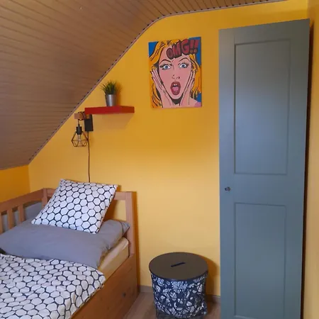 Narcisz Vendeghaz 2 Mezőkövesd