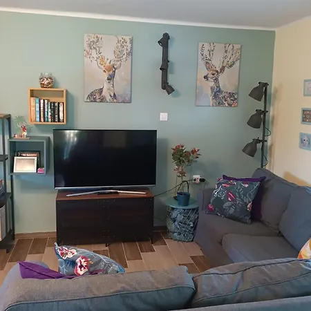 Narcisz Vendeghaz 2 Mezőkövesd