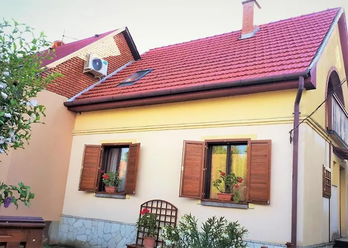 Narcisz Vendeghaz 2 * Mezőkövesd