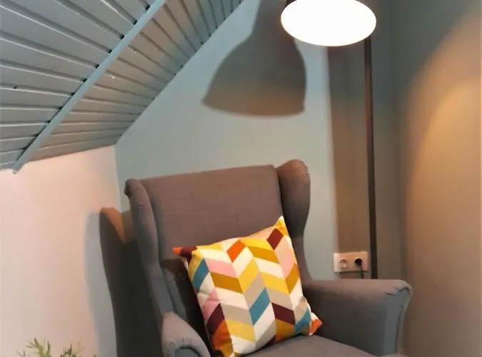 Narcisz Vendeghaz 2 Mezőkövesd