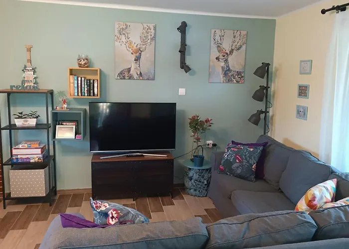 Narcisz Vendeghaz 2 Mezőkövesd